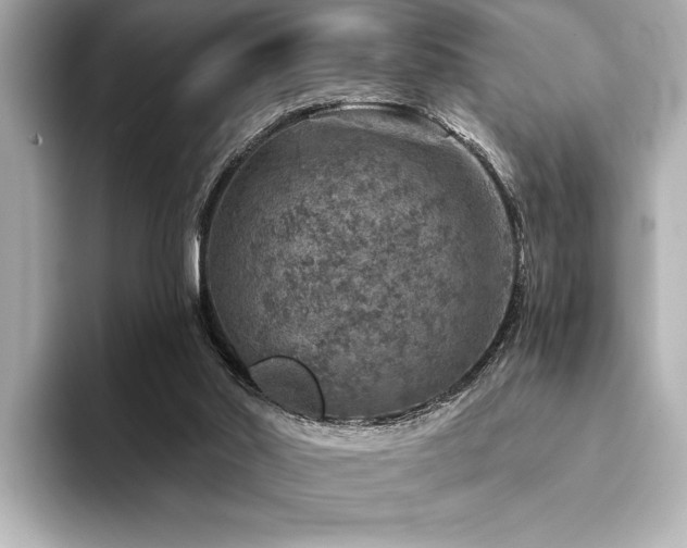 X0000094380014200711021234