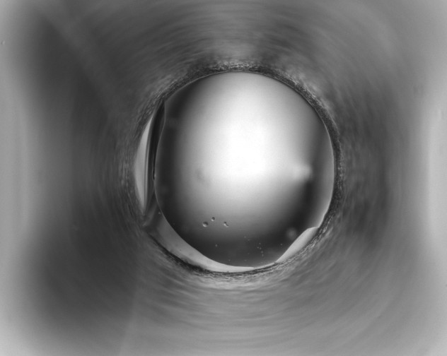 X0000094380017200711021234