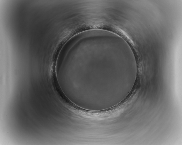 X0000094380018200711021234