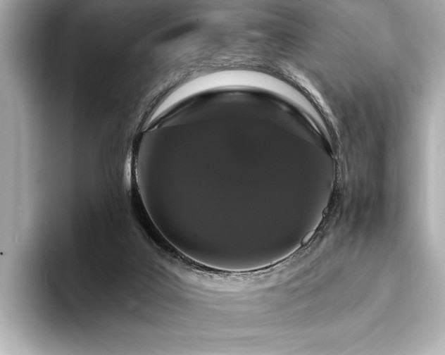 X0000094380019200711021234