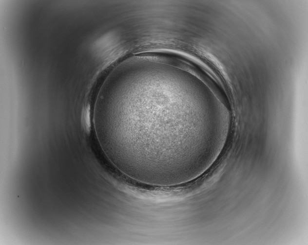 X0000094380020200711021234