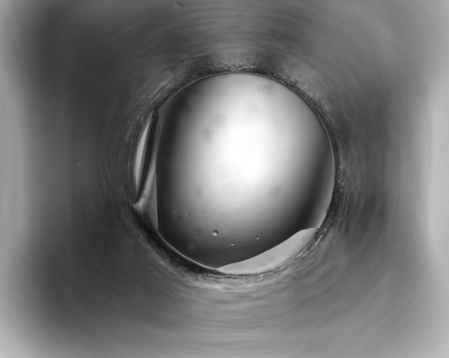 X0000094380021200711021234