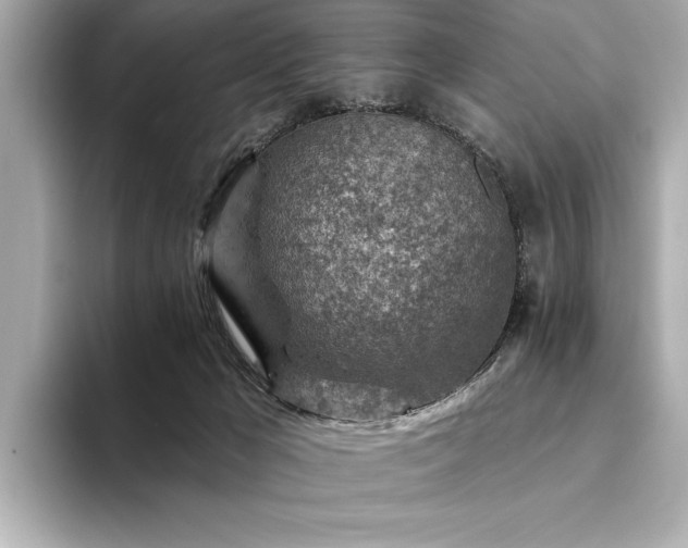 X0000094380029200711021234