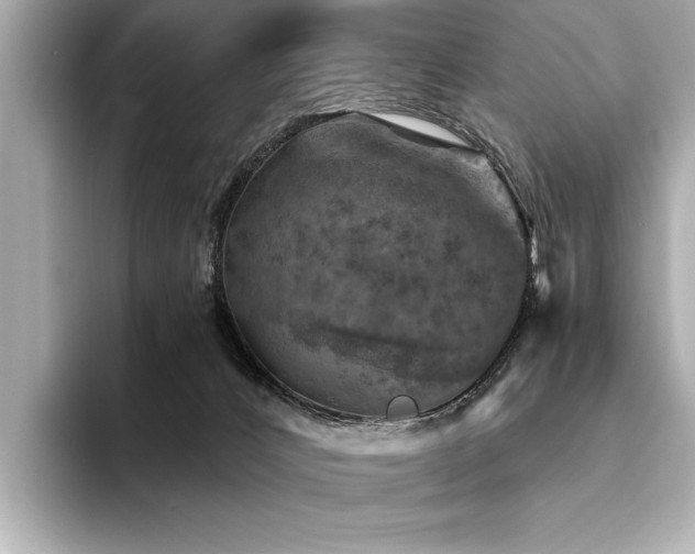 X0000094380032200711021234