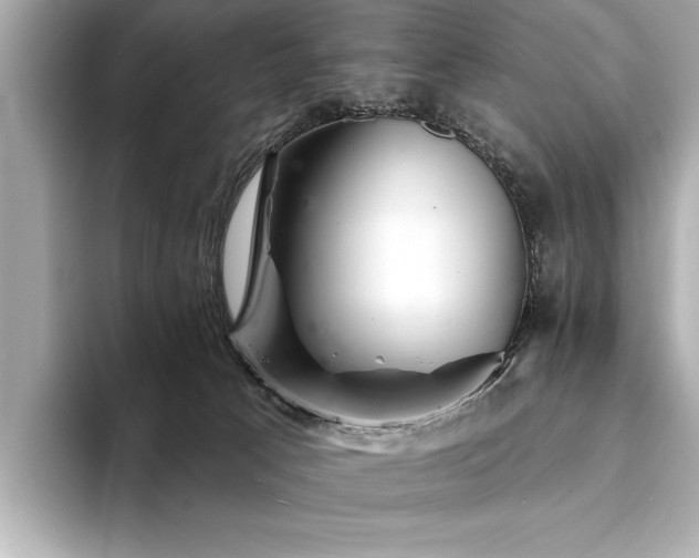 X0000094380033200711021234