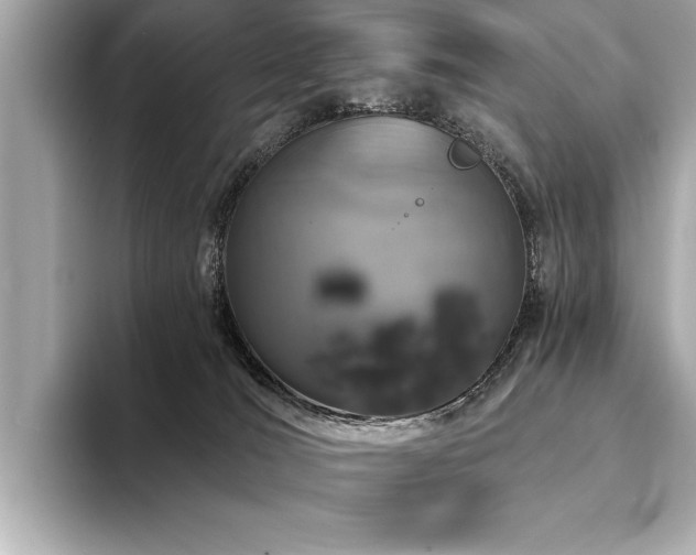 X0000094380036200711021234