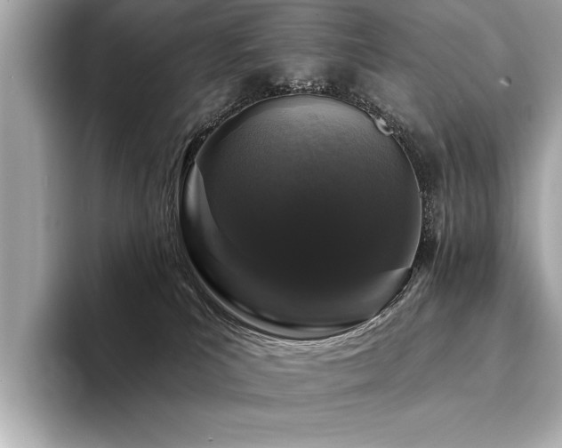 X0000094380039200711021234