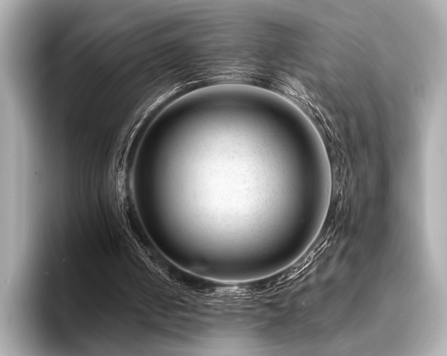 X0000094380050200711021233