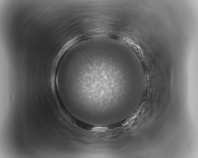 X0000094380051200711021233
