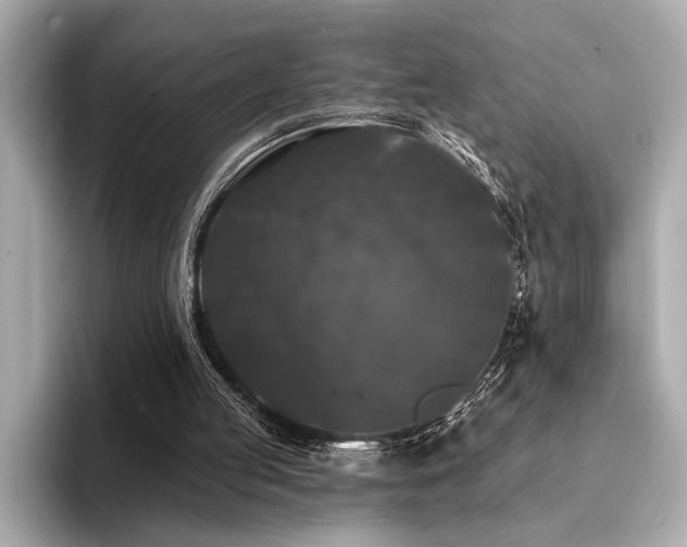 X0000094380053200711021233