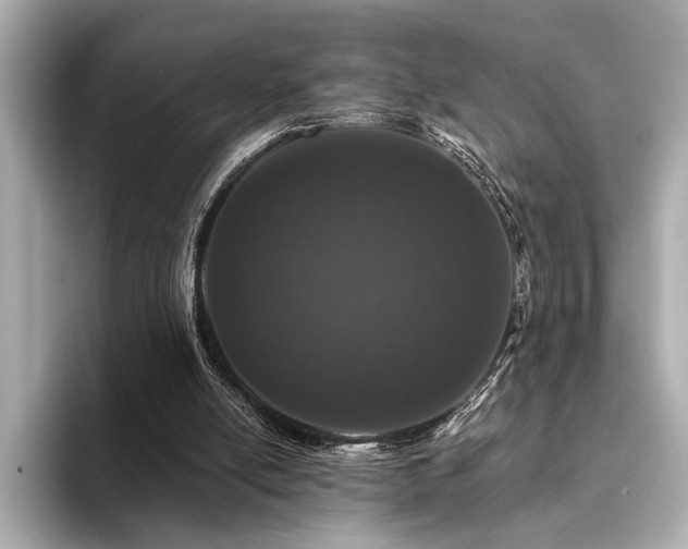 X0000094380054200711021233