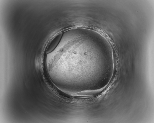 X0000094380055200711021233