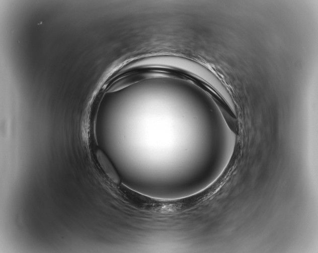 X0000094380056200711021233