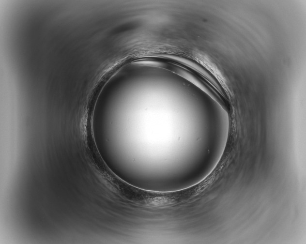 X0000094380058200711021233