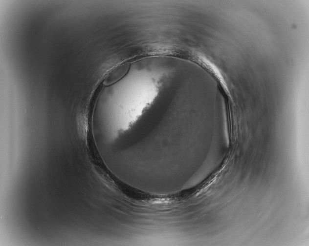 X0000094380059200711021233