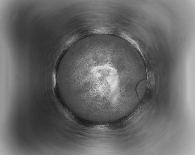 X0000094380061200711021233