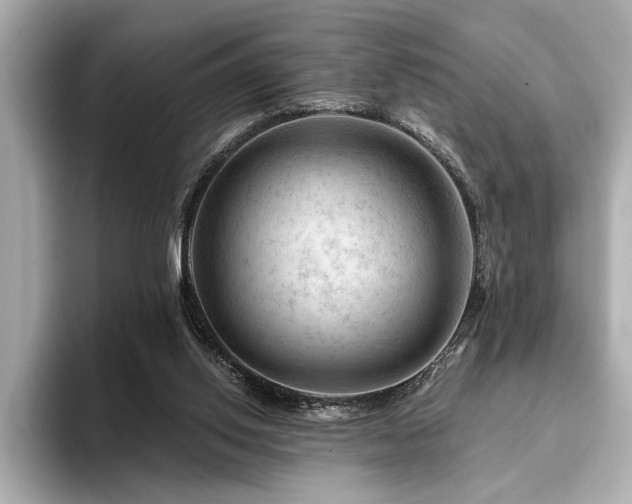 X0000094380062200711021234