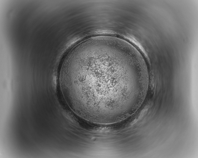 X0000094380063200711021234
