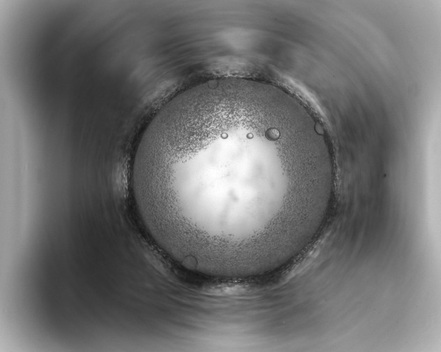 X0000094380065200711021234