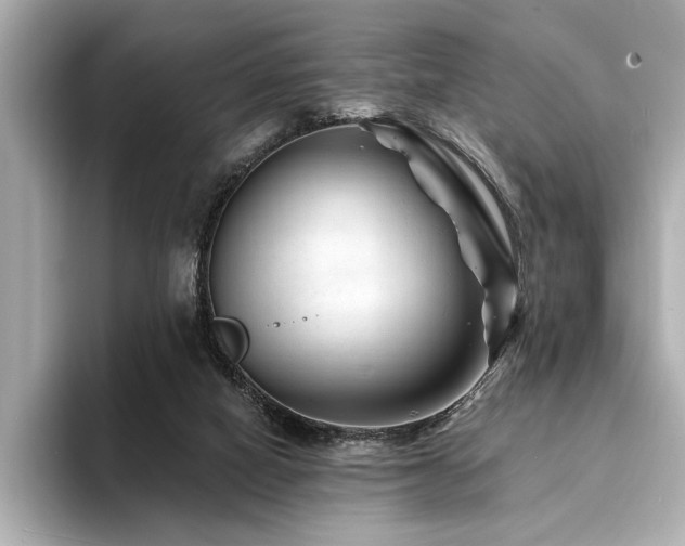 X0000094380066200711021234