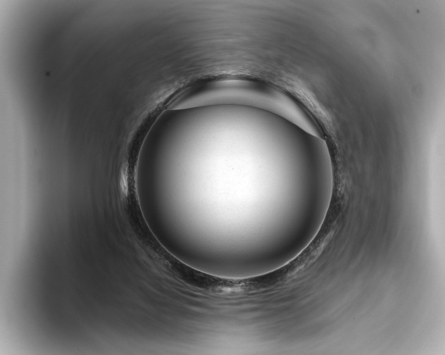 X0000094380068200711021234