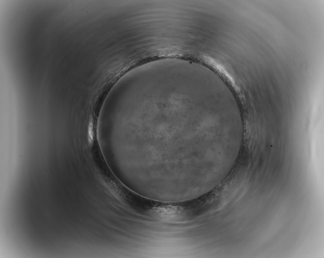 X0000094380069200711021234