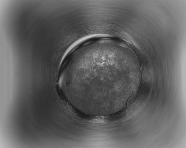 X0000094380076200711021234