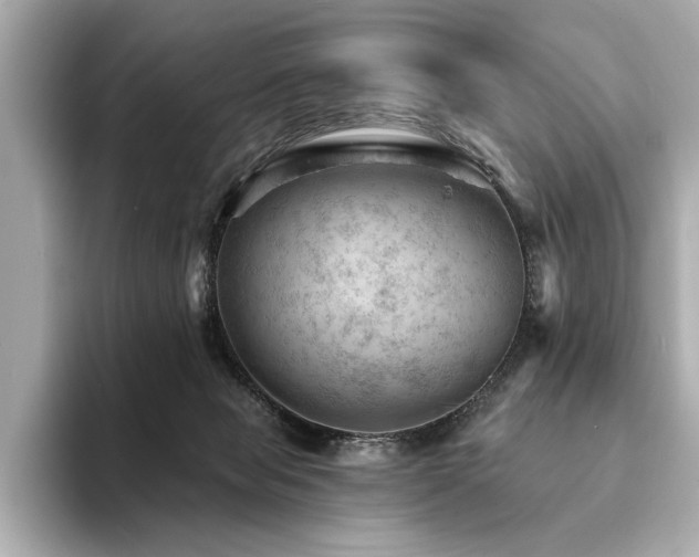 X0000094380077200711021234