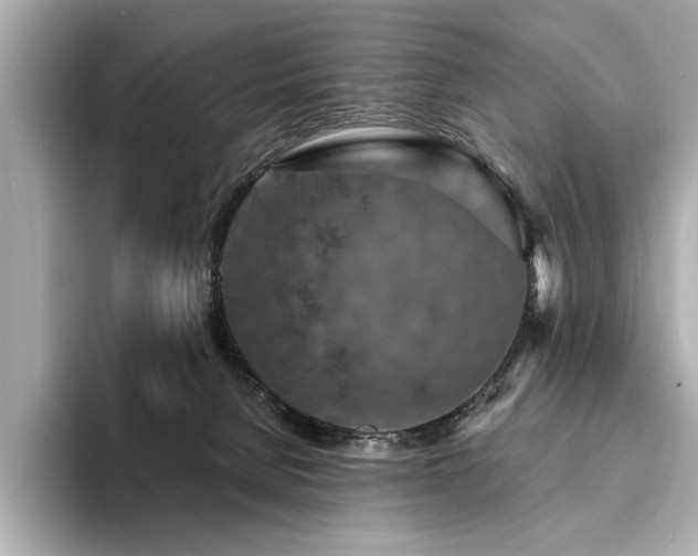 X0000094380080200711021234