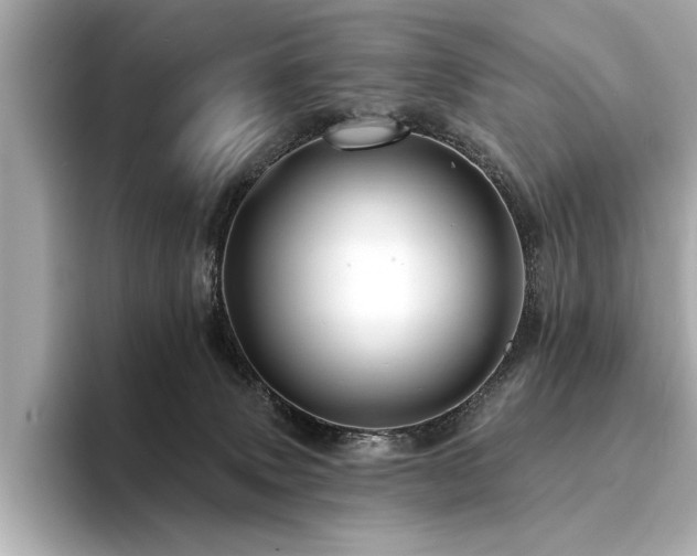 X0000094380083200711021234