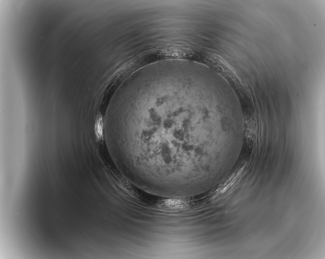 X0000094380095200711021234