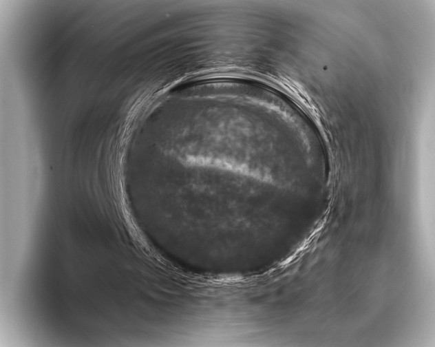 X0000094380097200711021233