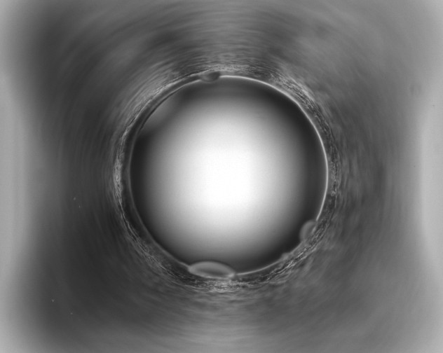 X0000094380098200711021233