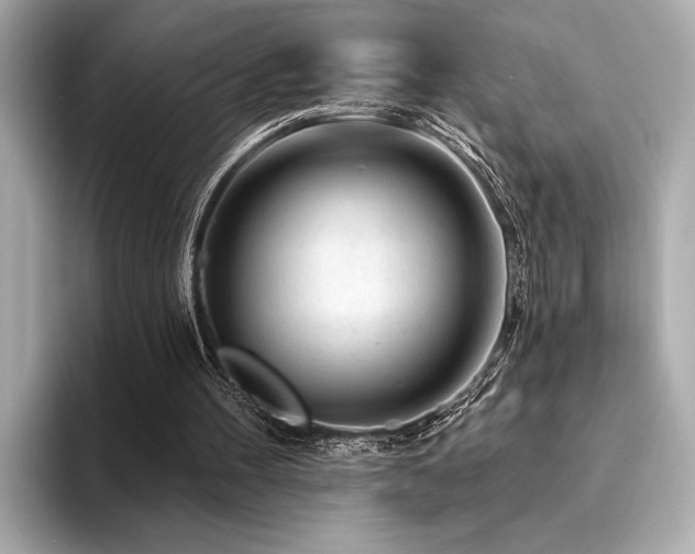 X0000094380100200711021233