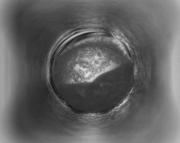 X0000094380101200711021233
