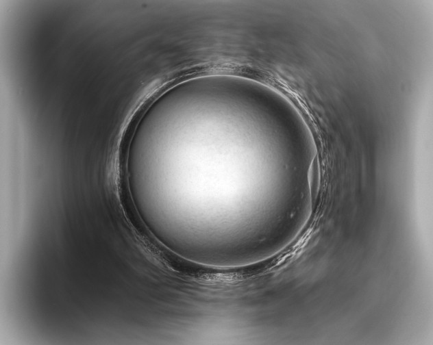X0000094380102200711021233