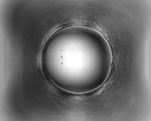 X0000094380103200711021233