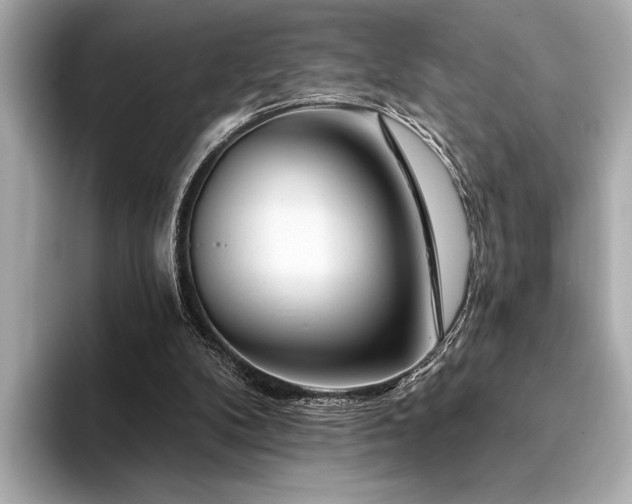 X0000094380104200711021233