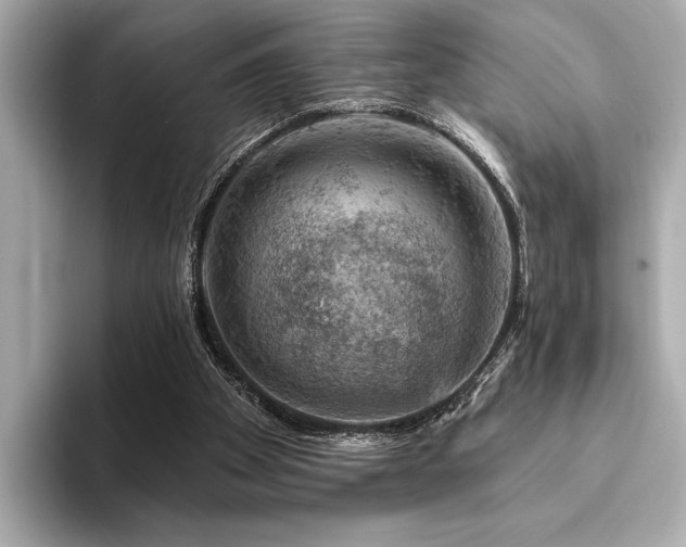 X0000094380105200711021233