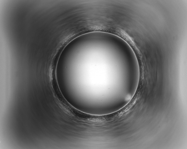 X0000094380106200711021233