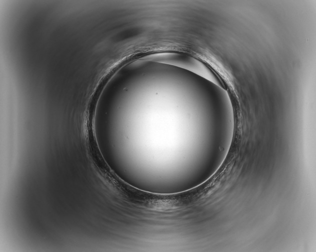X0000094380107200711021233