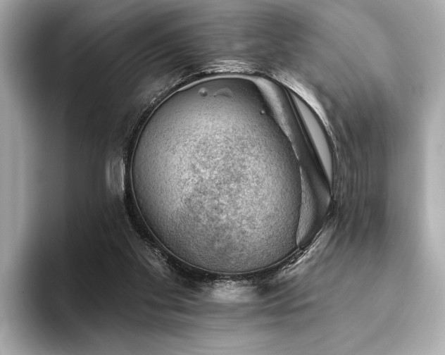 X0000094380109200711021233