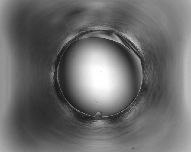 X0000094380111200711021233