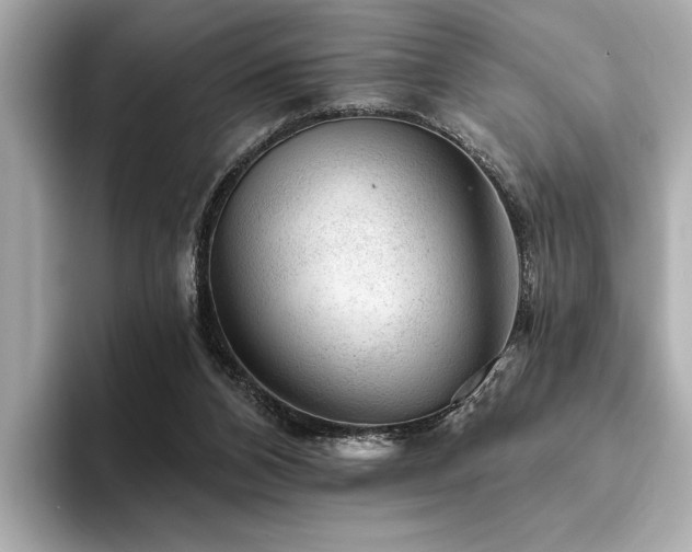 X0000094380112200711021233