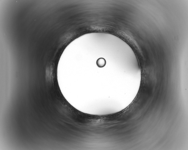 X0000094380116200711021233