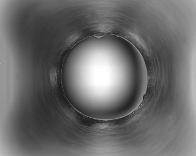 X0000094380120200711021233
