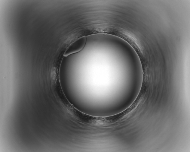 X0000094380121200711021233