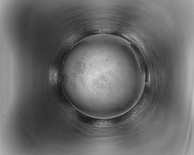 X0000094380123200711021233