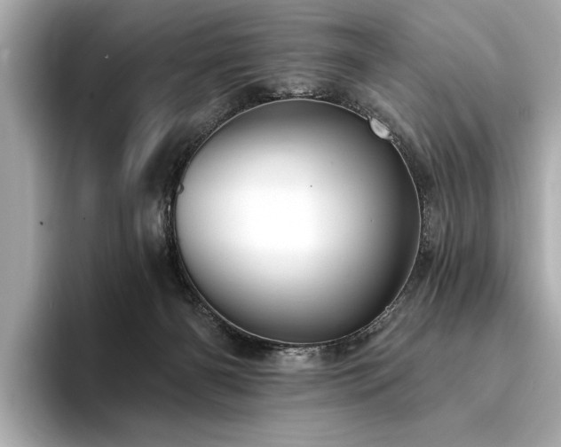 X0000094380126200711021233