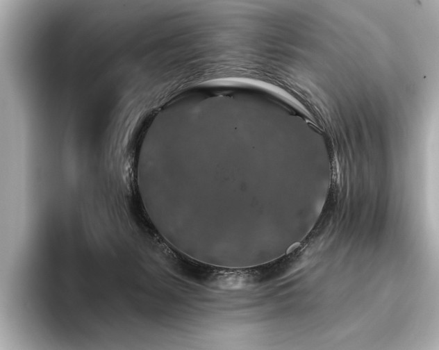 X0000094380127200711021233